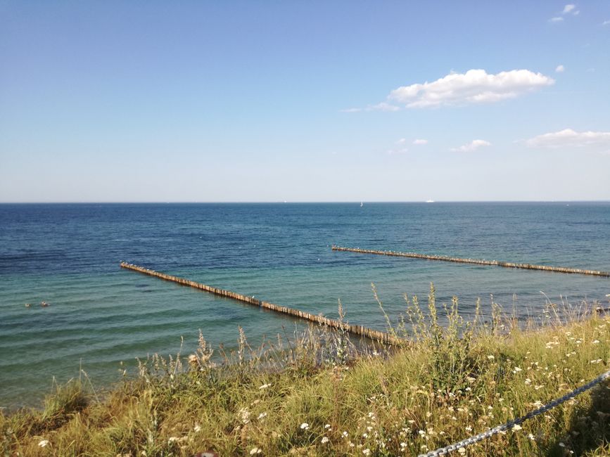 Molto idilliaco