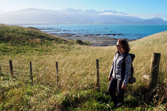 New Zealand - nicosundro's travel - Part 1