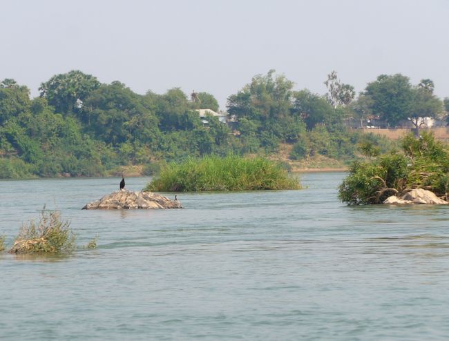 Mönche, Seide und Delfine (Mekong Kreuzfahrt Teil 4)