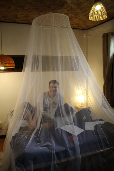 Jonas on the bed inside the mosquito net