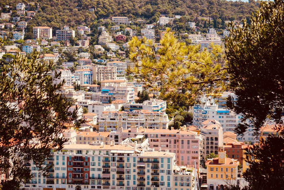 Getting to know nice Nice