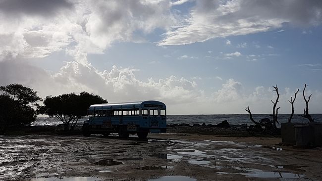 9. Tag Kralendijk (Bonaire)