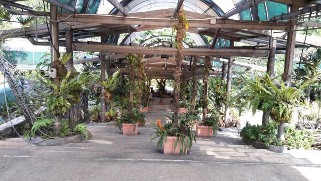 Orchideengarten