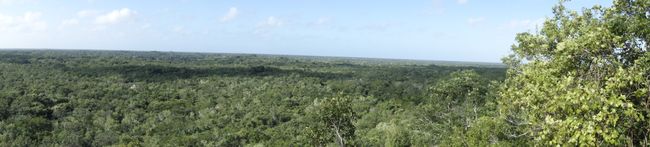 ...for a great view of the surrounding jungle