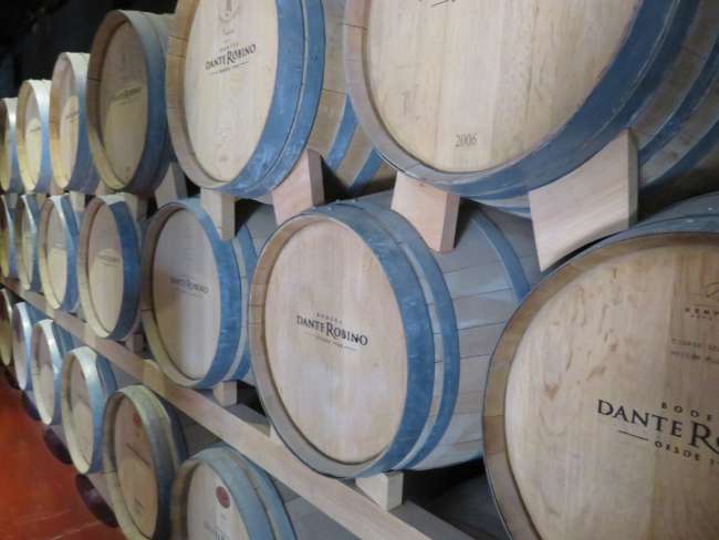 Wine barrels in Mendoza
