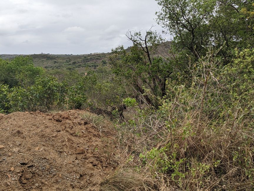 Hluhluwe-Imfolozi-Nationalparks