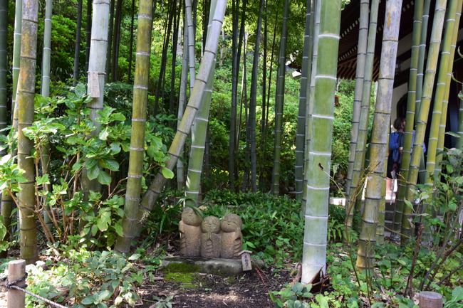 Im Bambus