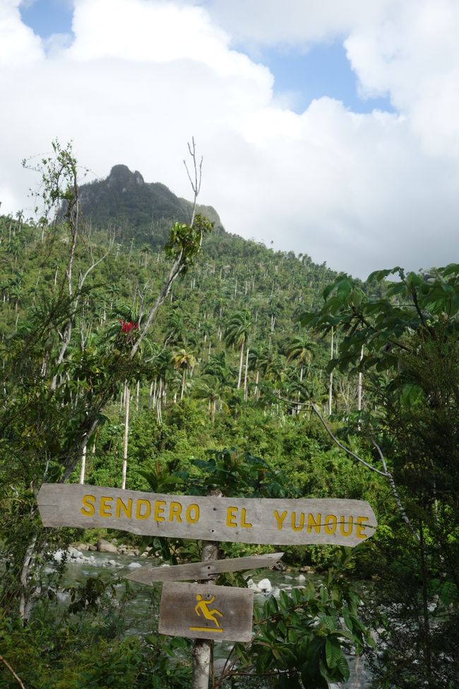 Baden im Youmurí und Besteigung des Yunque