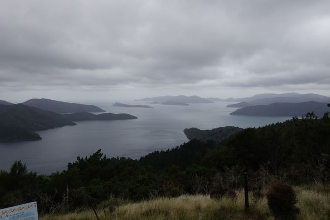 Queen Charlotte Track: Day 12 & 13
