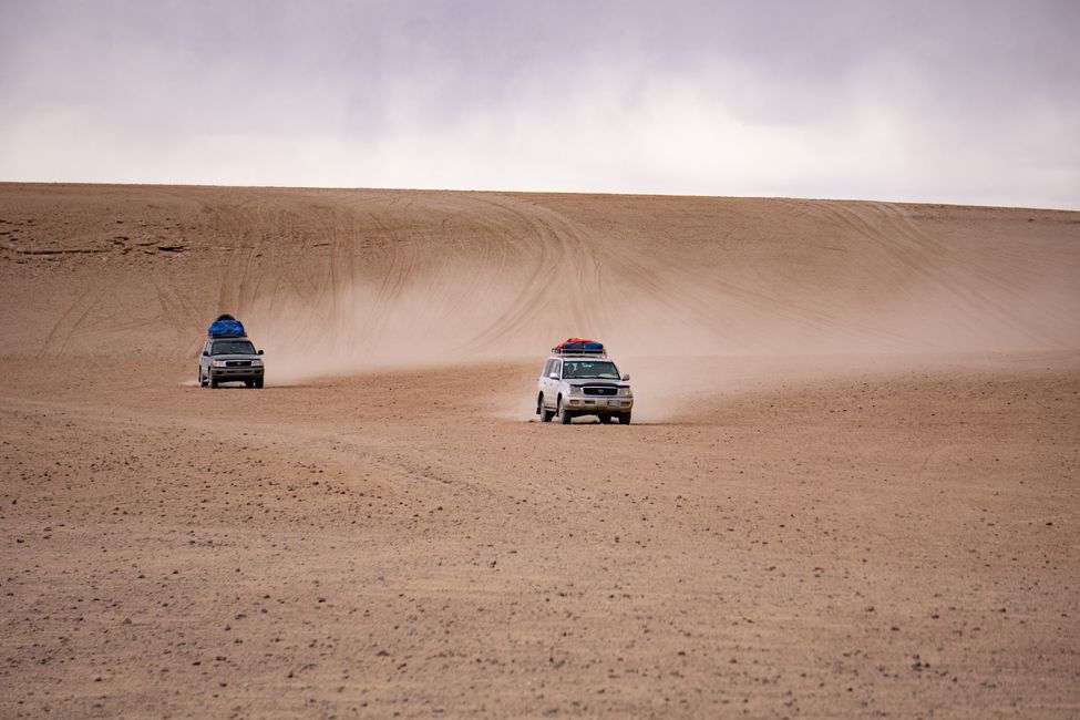 Desert Rallye 