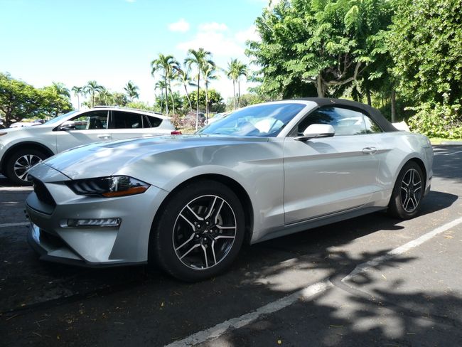 Unser Auto: Ford Mustang
