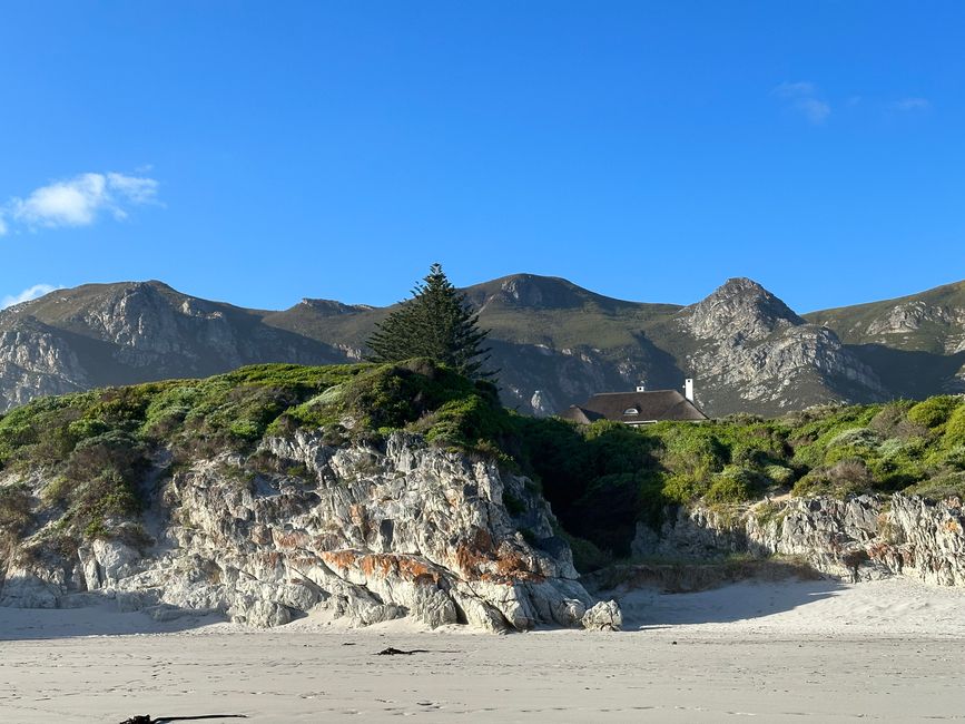 Hermanus ♥️