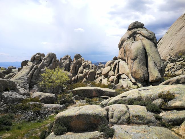 Hiking day in La Pedriza - the largest granite formation in Europe, 42 km outside of Madrid