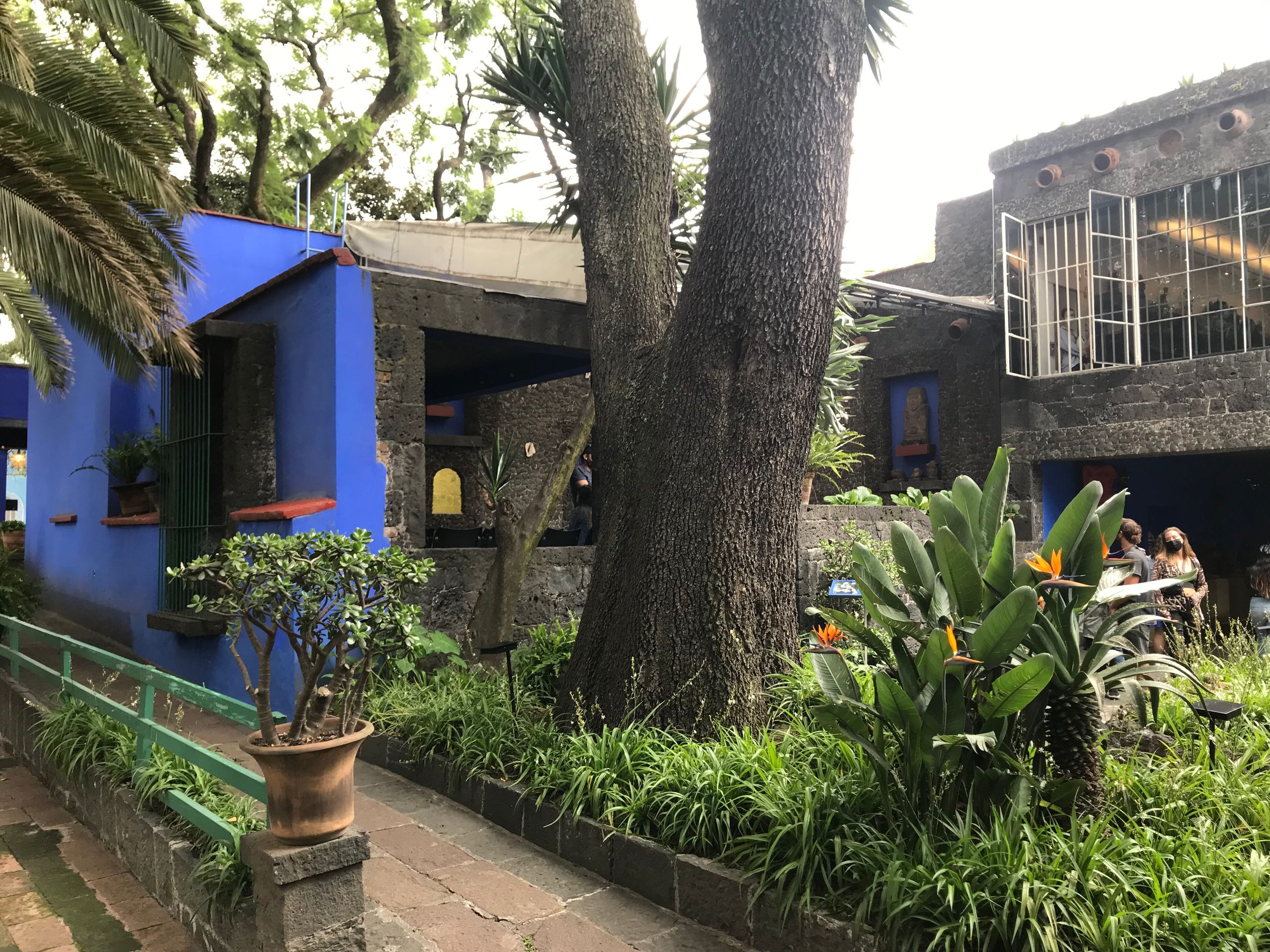 Frida Kahlo Museum in the garden
