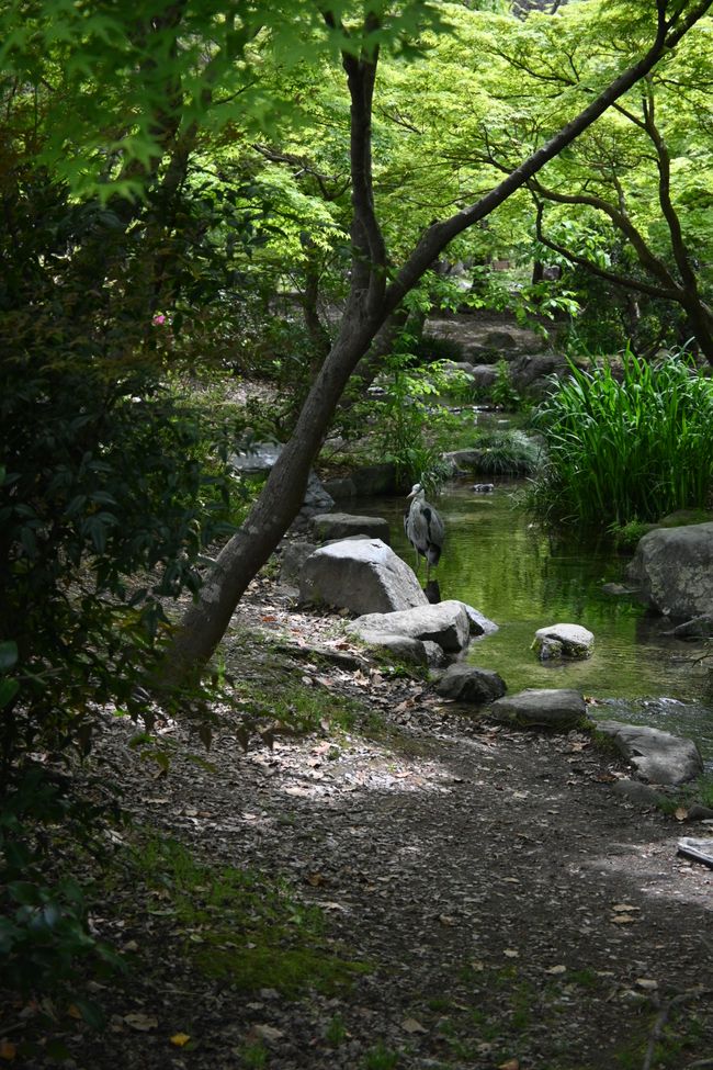 Umekoji Park