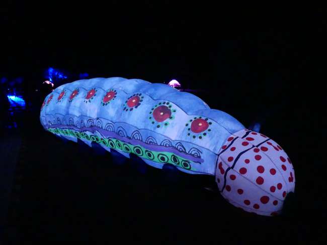 Glowing caterpillar at the light festival