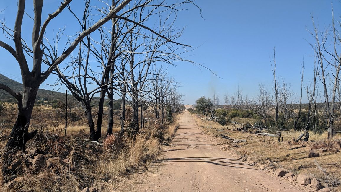Dag 9: Vum Pilanesberg NP op Kololo Spillreservat