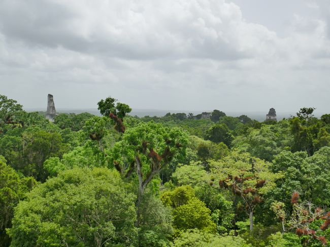 Tikal - Temples III, II and I (from left)