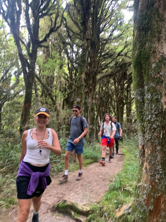 Wanderung am Mt. Taranaki