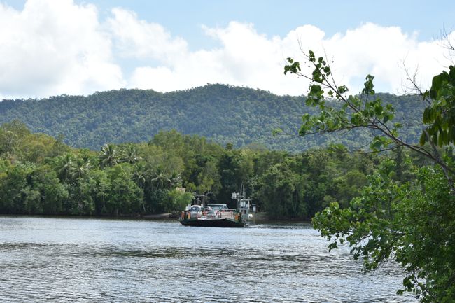 Ferry across the Daintree River