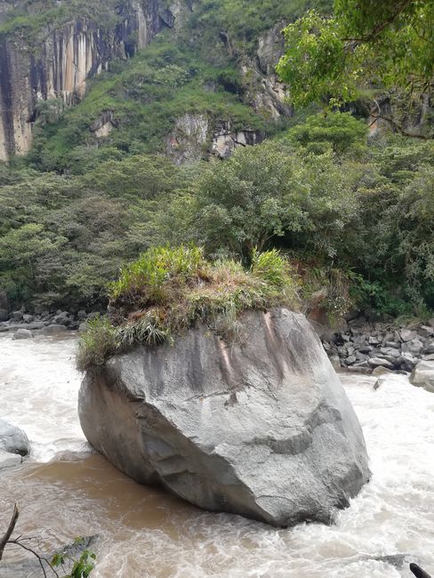 Along the Urumbamba River