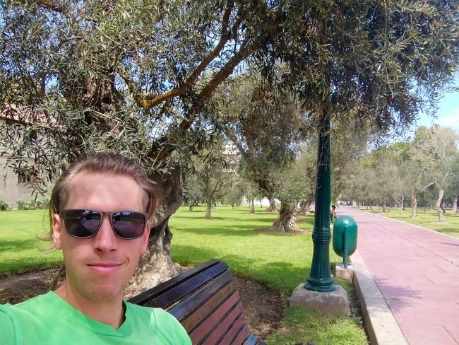 Der 'Parque El Olivar' bestand wirklich nur aus Olivenbäumen. Er bot eine angenehme Pause vom Trubel. 