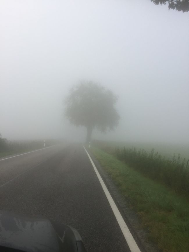 Fog of horror 🥶🙈😇