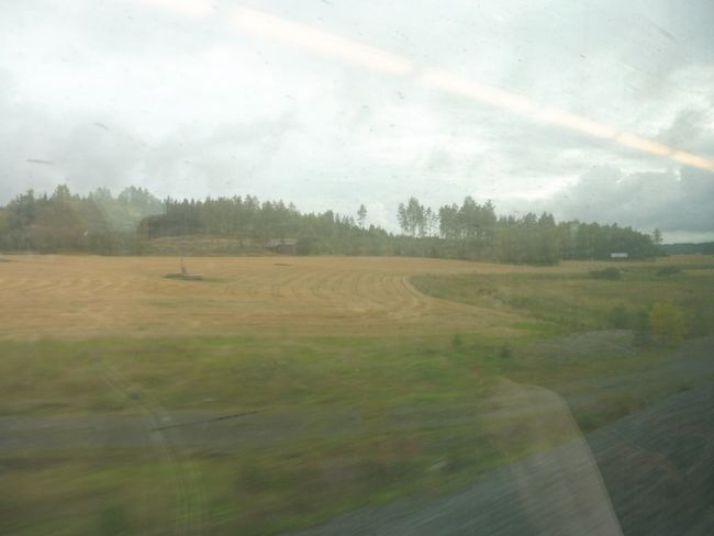 View from the Train Window