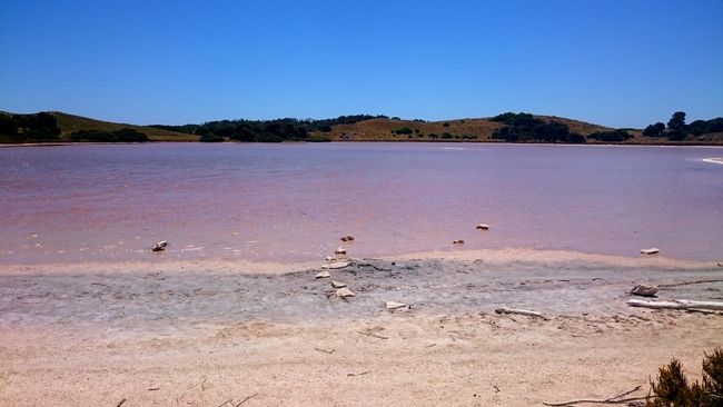 Ein pinkfarbener Salzsee im Inselinneren. 