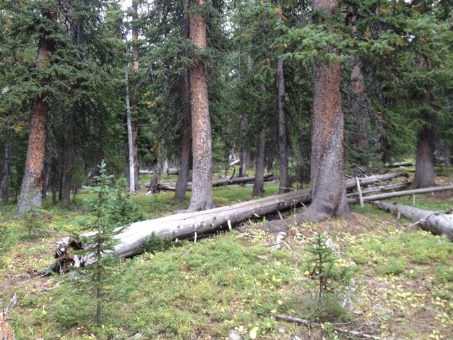 Randonnée Ouest : Colorado Trail