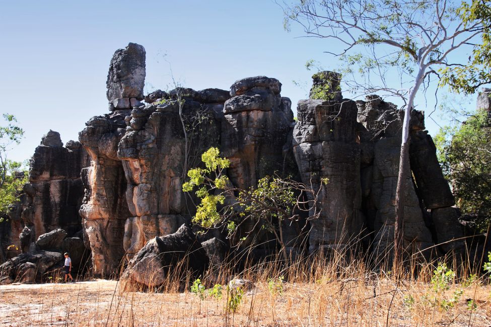 Day 28: Fun in the Litchfield National Park