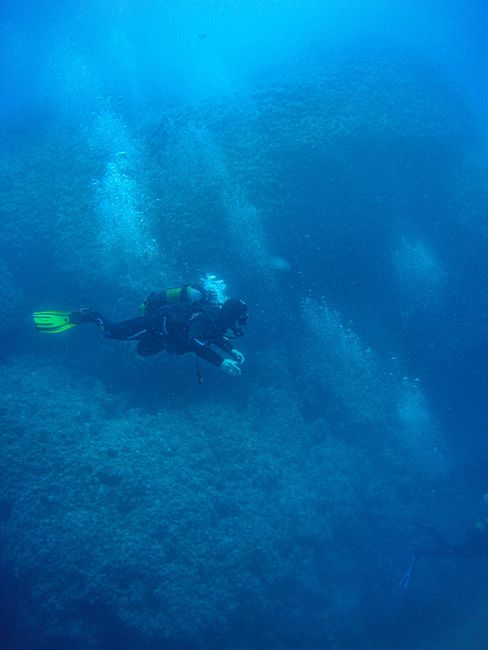 Day 83 - the fourth day in Rhodes / diving again