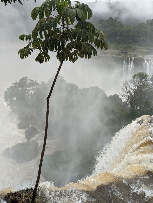 06.06.2022 Weiterflug nach Foz do Iguacu (Argentinische und Brasilianische Wasserfälle)