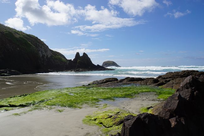 Dunedin und die Otago Peninsula