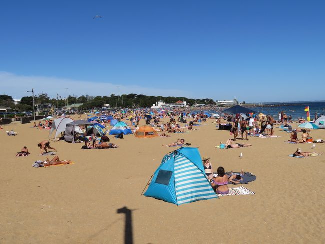 "Beach idyll" in the suburb - everyone was there