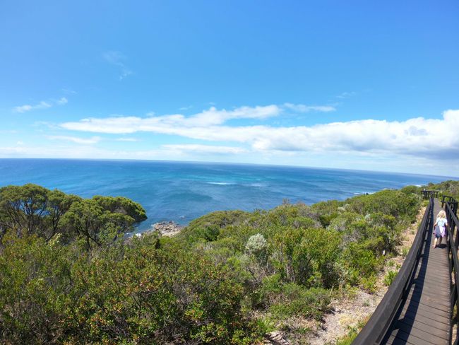 Tag 55: Yallingup - Cape Naturaliste (Whale Lookout Walk, Sugarloaf Rock) - Busselton