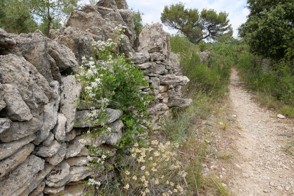 2021 - July - Hiking in Luberon, Day 3 and 4, Gordes and the Sénanque Monastery