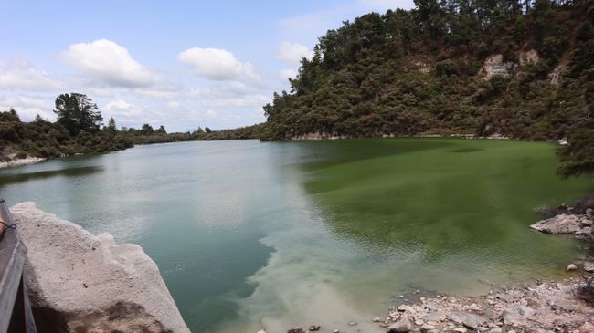 Tag 9 Wai-O-Tapu Thermal Wonderland