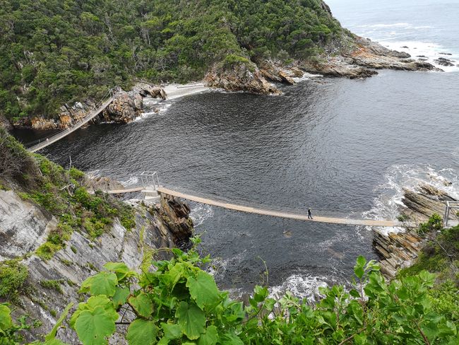 Vuoi saltare dal ponte bungy più alto? Certo!