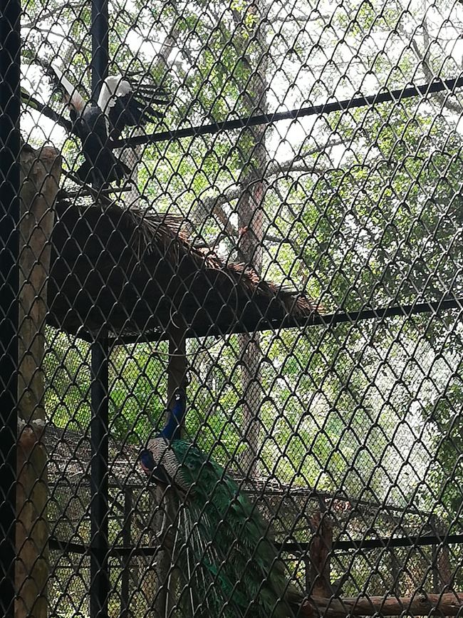 Banaghata Zoo and Safari