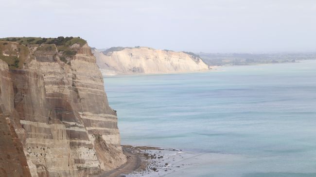 Day 17 Cape Kidnappers & Gannet Safari