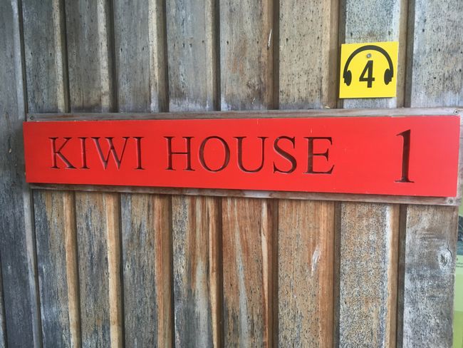 Das Kiwi-Haus (Die Kiwis durfte man leider nicht fotografieren.)