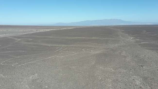 Lineas de Nazca 