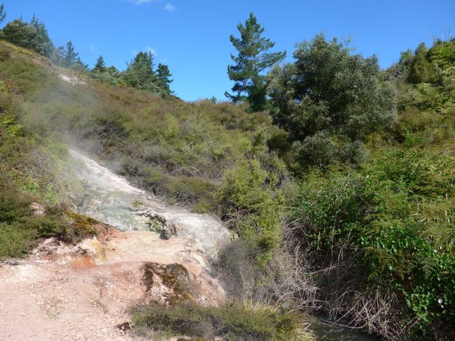 Fenced nature and sulfur vapors (New Zealand part 3)
