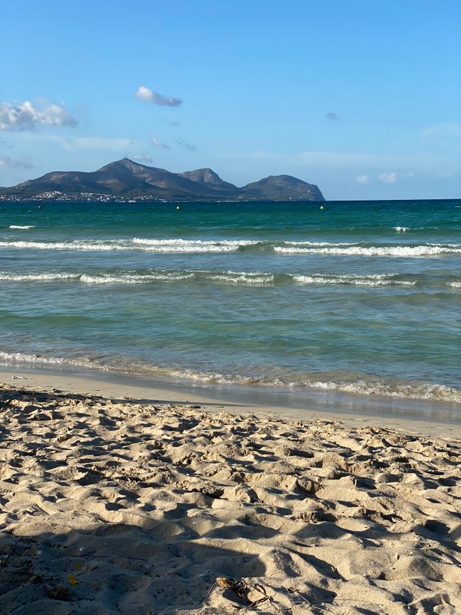Favorite Beach