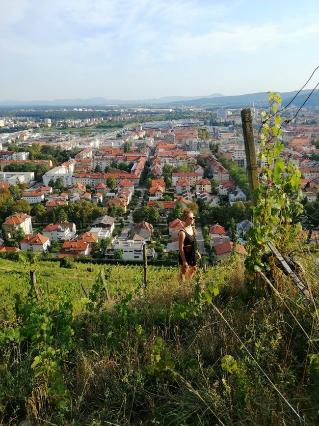 Maribor from the vineyard.