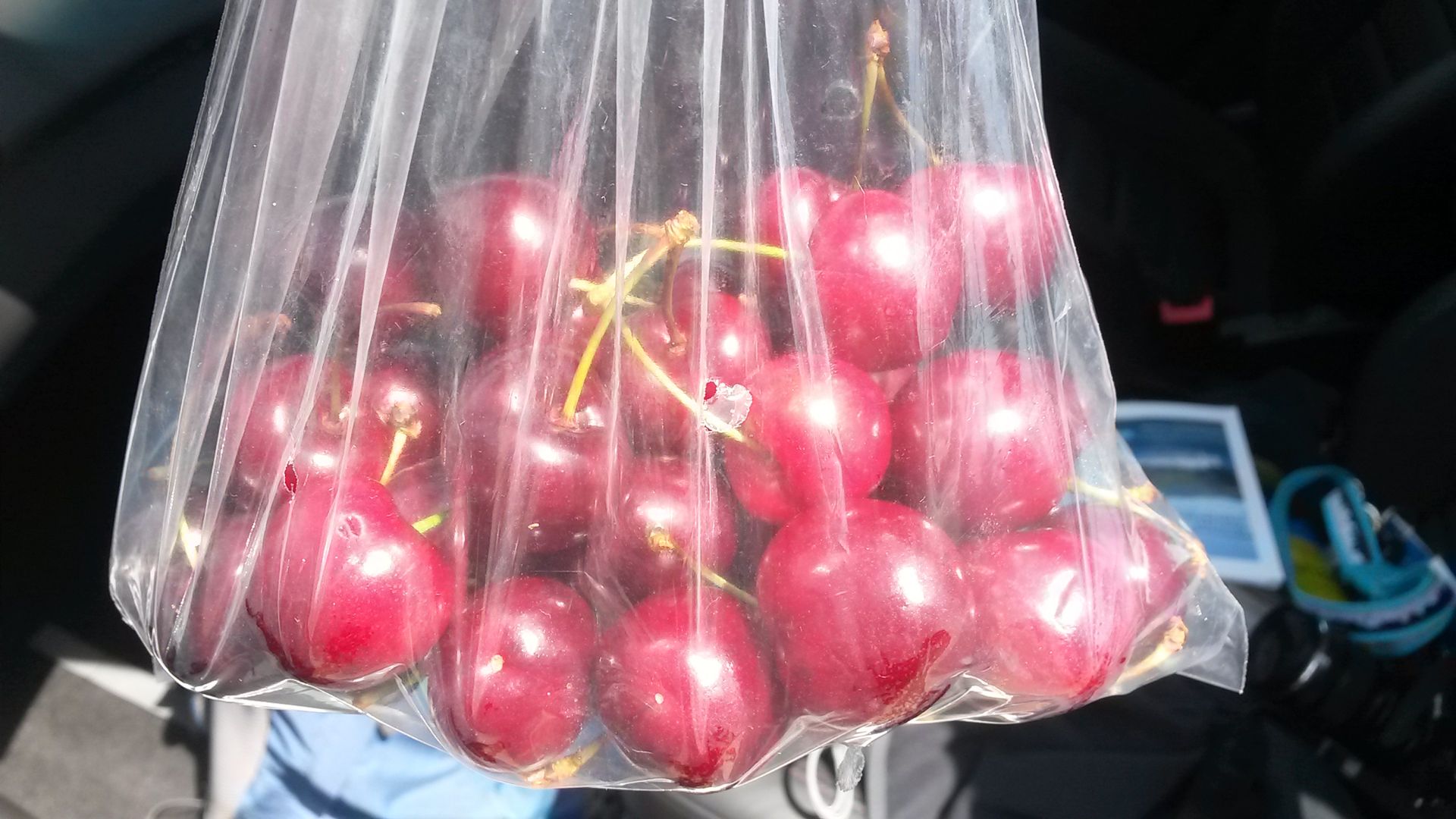 Cherries for $5