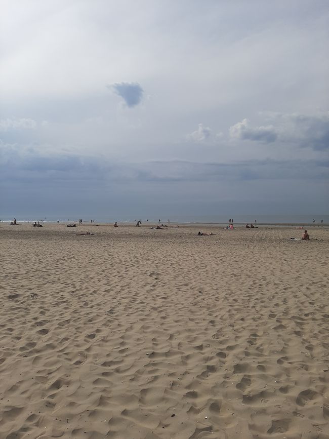 Strand in der Nähe Amsterdams