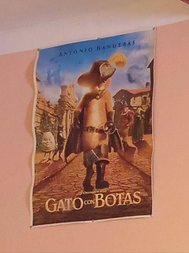 Bonus picture: Gato con Botas