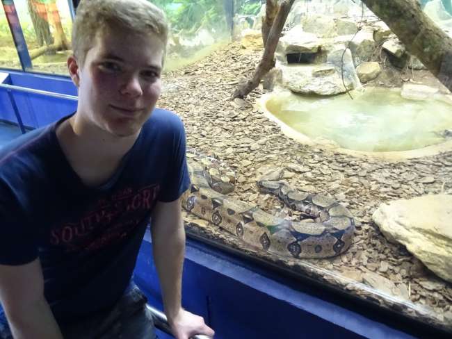 Fabian and his new best friend (boa constrictor)